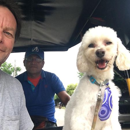 Murph'S Surf Shacks Rivas Luaran gambar