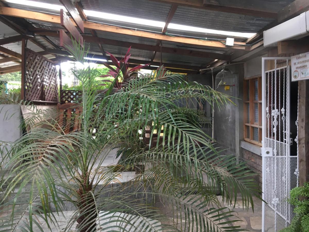 Murph'S Surf Shacks Rivas Luaran gambar